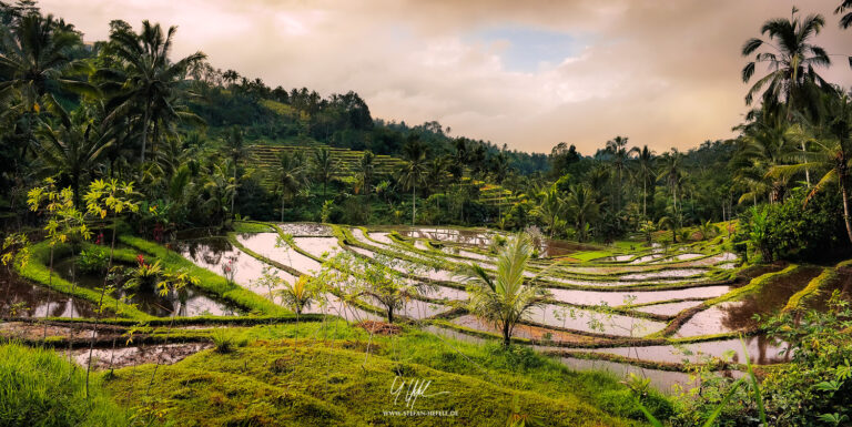 Landschaftsbilder Bali - Landschaftsfotografie