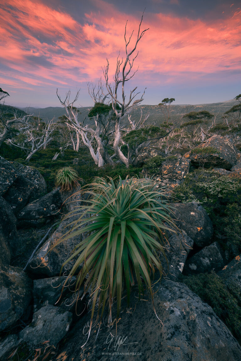 Landschaftsbilder Australien - Landschaftsfotografie