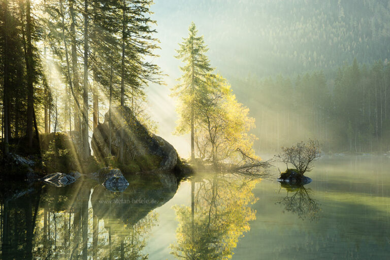 Hintersee, See, Wasser, Spiegelung, Licht, Strahlen, Baum, Herbst, Nebel, Stimmung