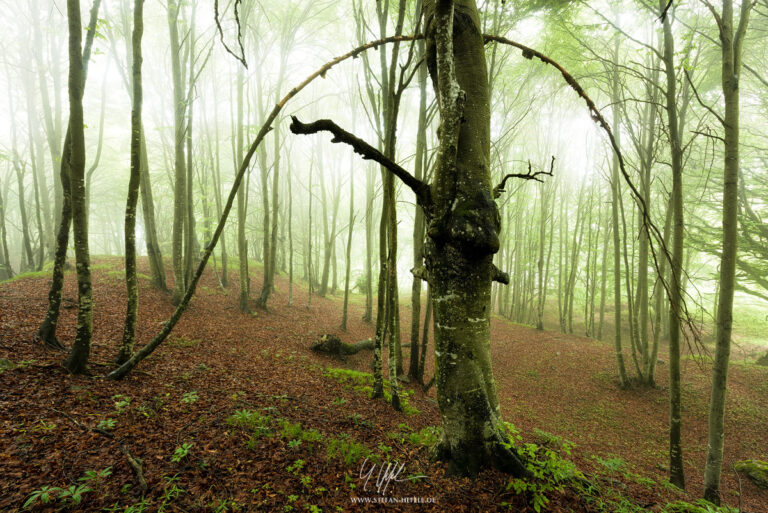 Alps - Landscape photography - Landscape pictures by Stefan Hefele