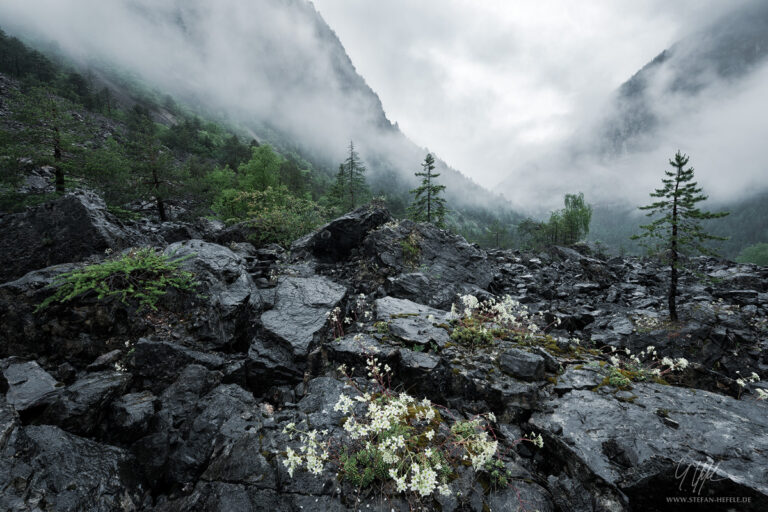 Alpen - Landschaftsfotografie - Landschaftsbilder von Stefan Hefele