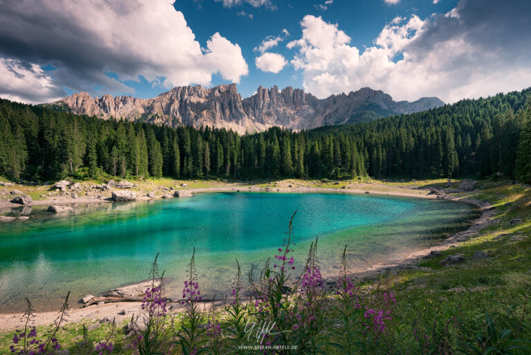 Traumhaft türkiser Lago di Carezza mit dem Dolomitenbergen Latemar im Hintergrund und magentafarbenen Blumen im Vordergrund