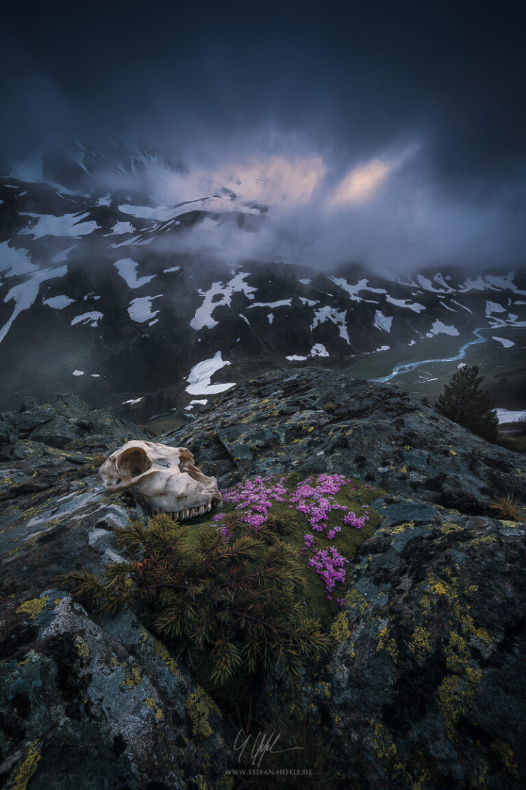 Landscapes Alps - Landscape Photography