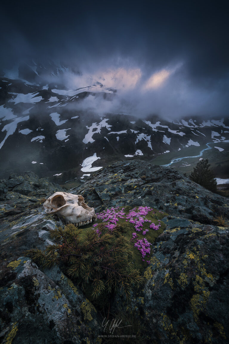 Landschaftsbilder Alpen - Landschaftsfotografie