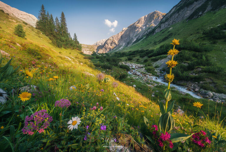 Landschaftsbilder Alpen - Landschaftsfotografie