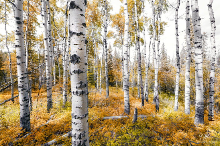 Landschaftsbilder Kanada - Landschaftsfotografie