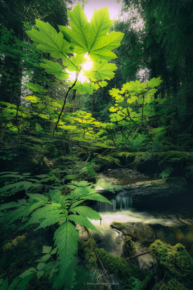 Landschaftsbilder Kanada - Landschaftsfotografie