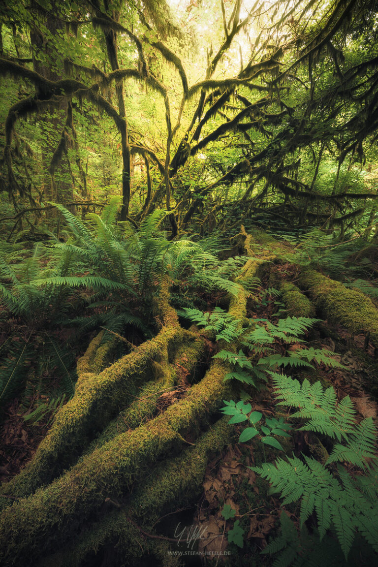 Landschaftsbilder Kanada - Landschaftsfotografie