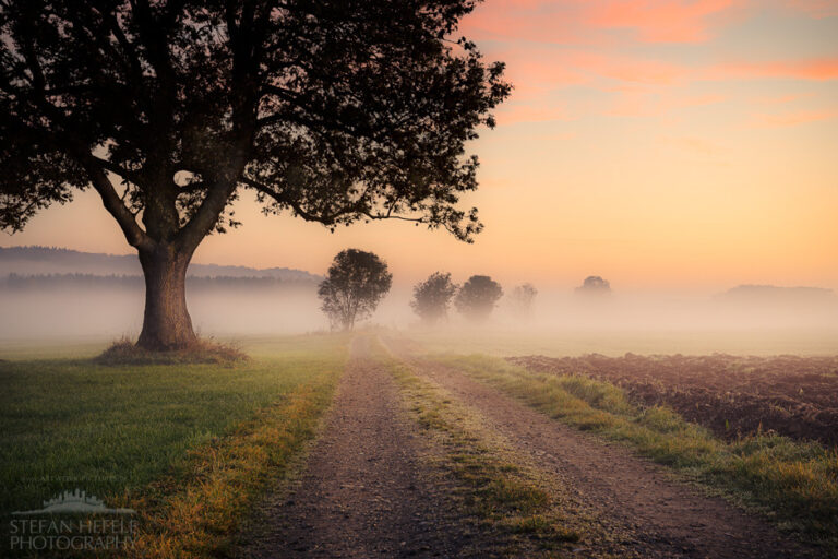 Landscapes from home Stefan Hefeles - Landscape Photography