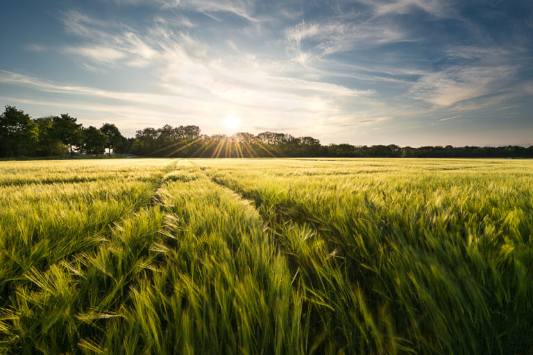 Landscapes from home Stefan Hefeles - Landscape Photography