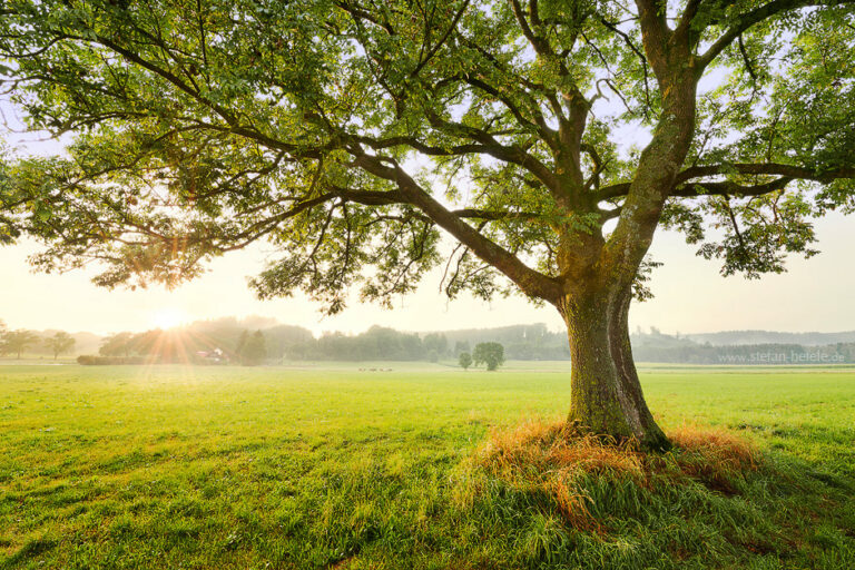 Landscapes from home Stefan Hefeles - Landscape Photography