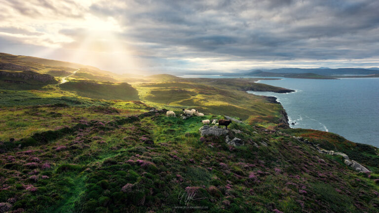 Landschaftsbilder Irland - Landschaftsfotografie