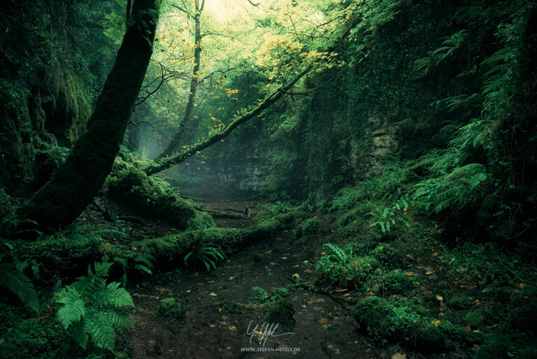 Landschaftsbilder Irland - Landschaftsfotografie