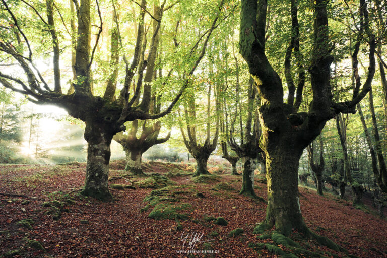 Landschaftsbilder Spanien - Landschaftsfotografie