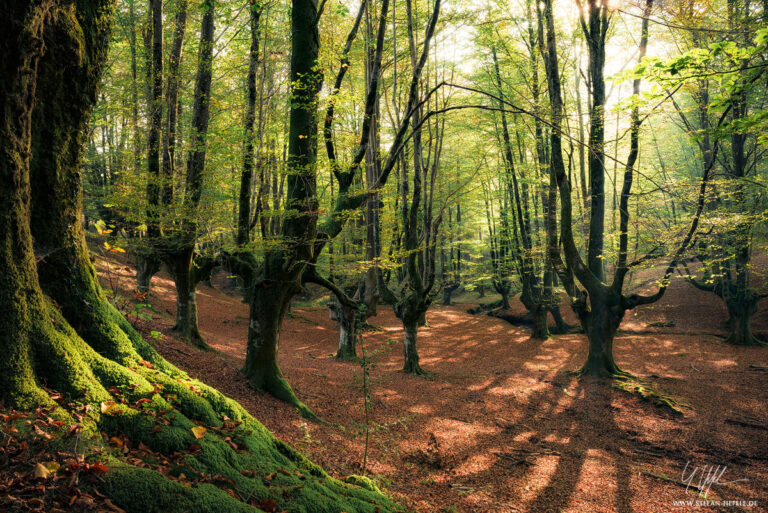 Landschaftsbilder Spanien - Landschaftsfotografie