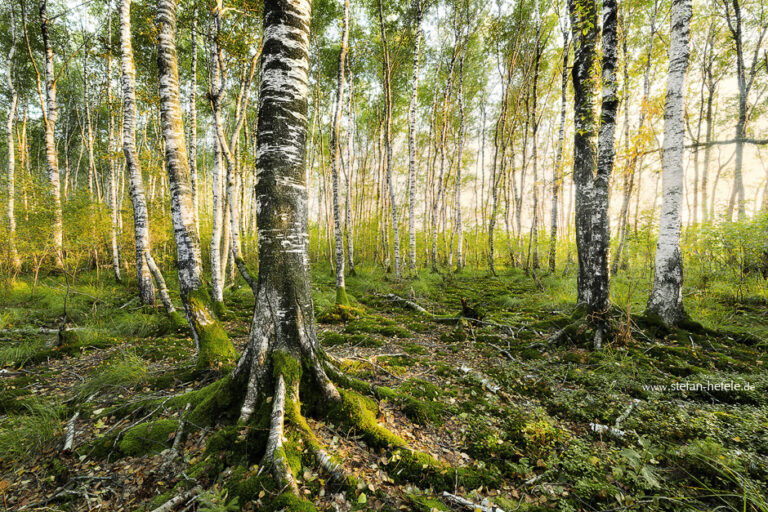 Landschaftsbilder Münchner Fünfseenland in Deutschland - Landschaftsfotografie