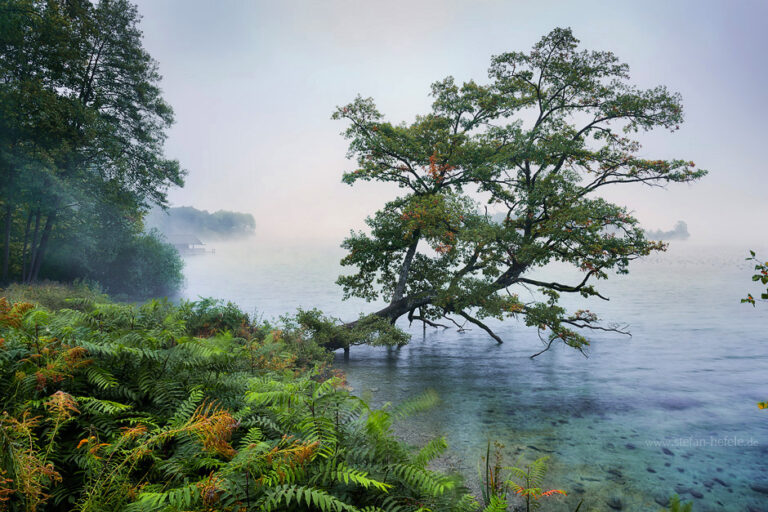 Landschaftsbilder Münchner Fünfseenland in Deutschland - Landschaftsfotografie