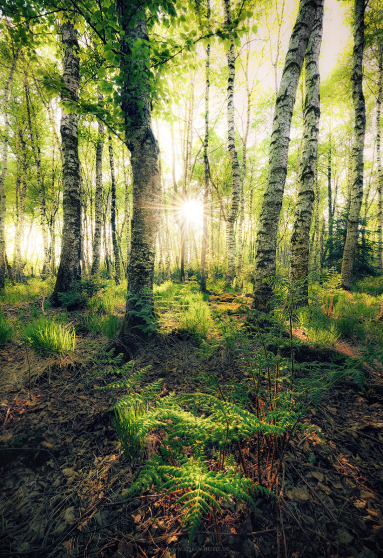 Landschaftsbilder Münchner Fünfseenland in Deutschland - Landschaftsfotografie