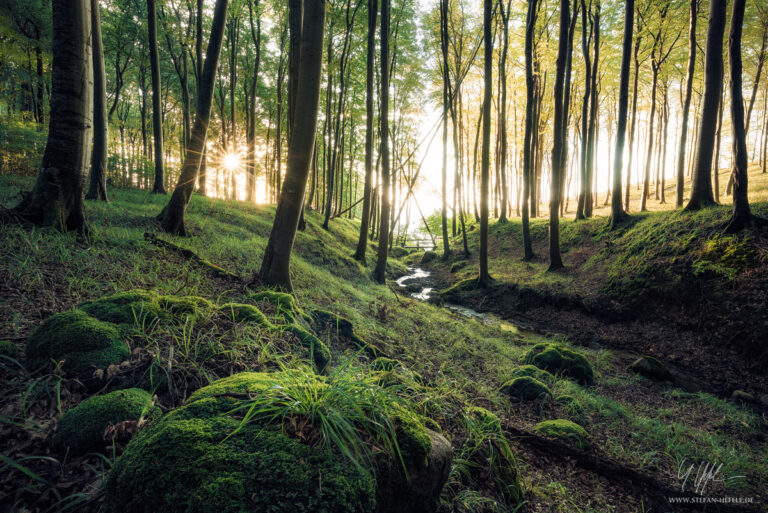 Landschaftsbilder Deutschland - Landschaftsfotografie