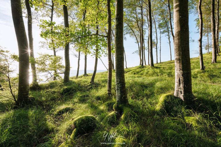 Landschaftsbilder Deutschland - Landschaftsfotografie