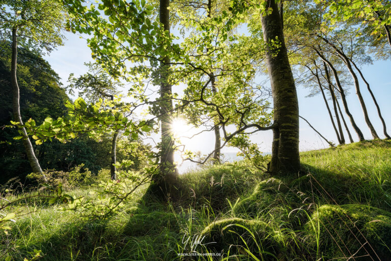 Landscapes Germany - Landscape Photography