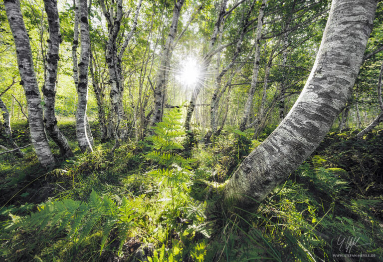 Landschaftsbilder Norwegen & Lofoten - Landschaftsfotografie