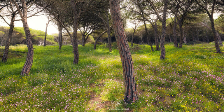 Landschaftsbilder Sardinien - Landschaftsfotografie