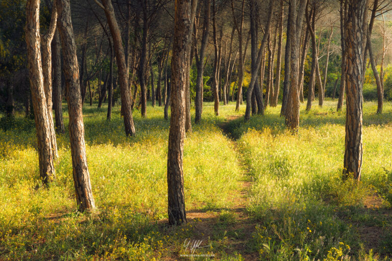 Landscapes Sardinia - Landscape Photography