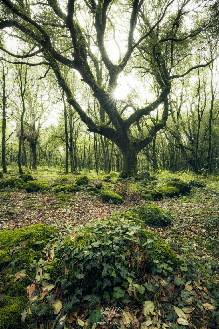 Landscapes Sardinia - Landscape Photography