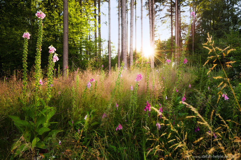 Landscapes from home Stefan Hefeles - Landscape Photography