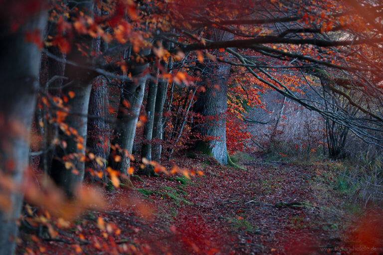 Landschaftsbilder aus der Heimat Stefan Hefeles - Landscape Photography