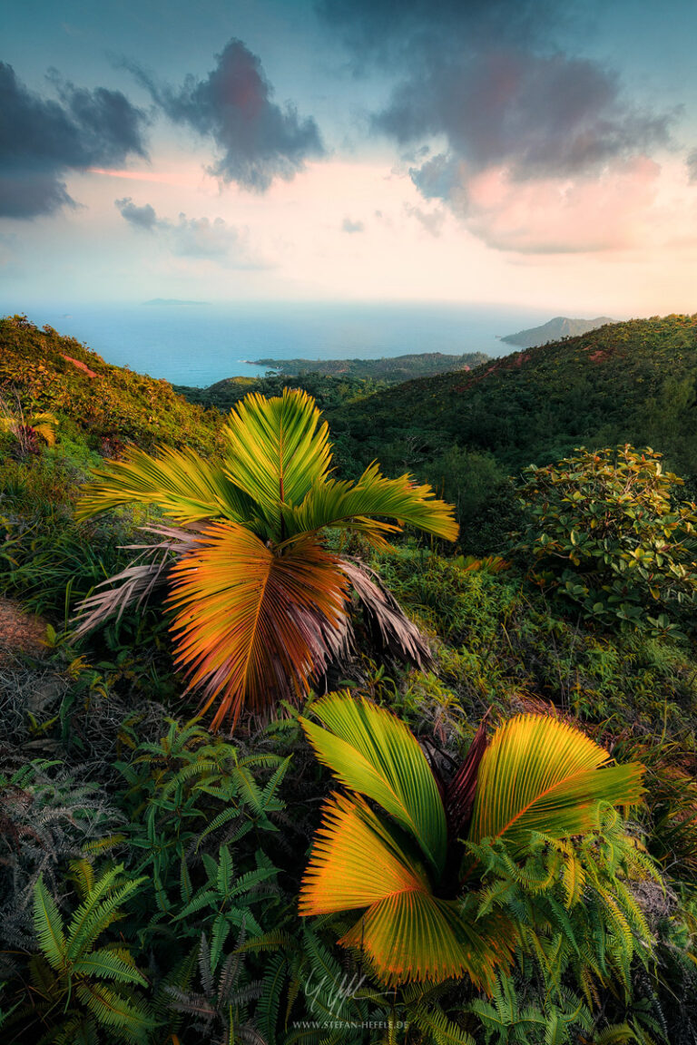 Landschaftsbilder Seychellen - Landschaftsfotografie