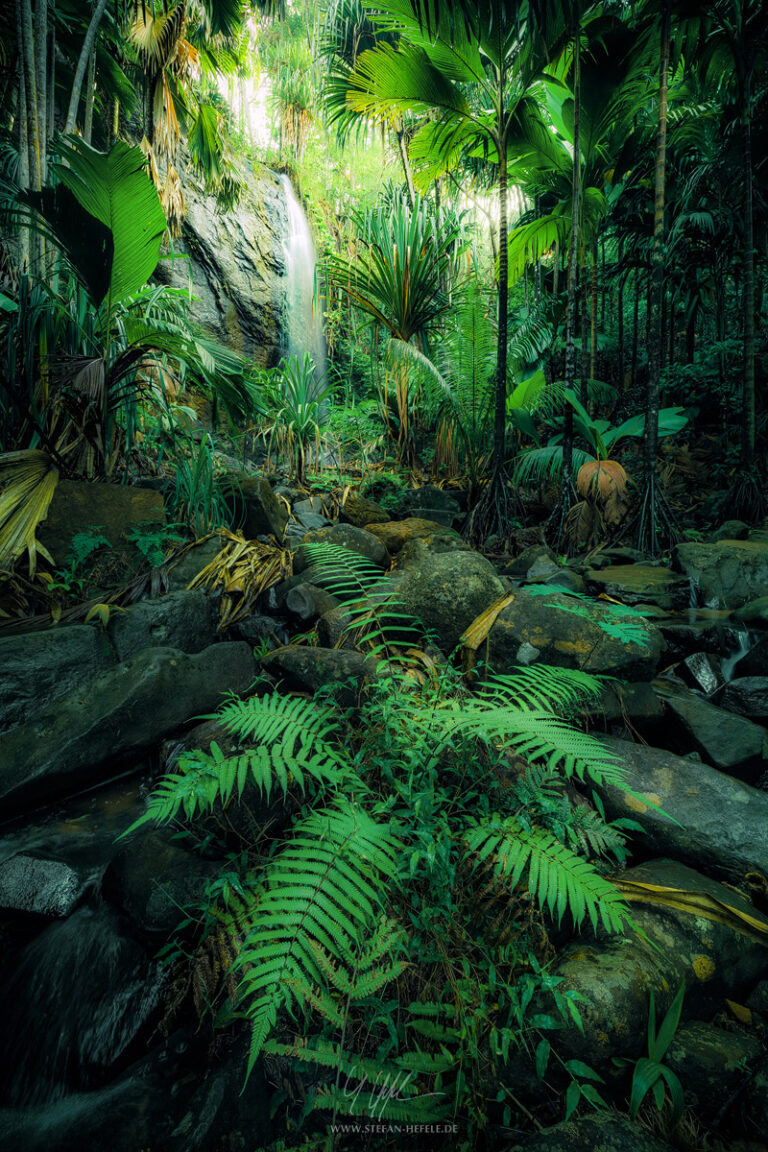 Landschaftsbilder Seychellen - Landschaftsfotografie