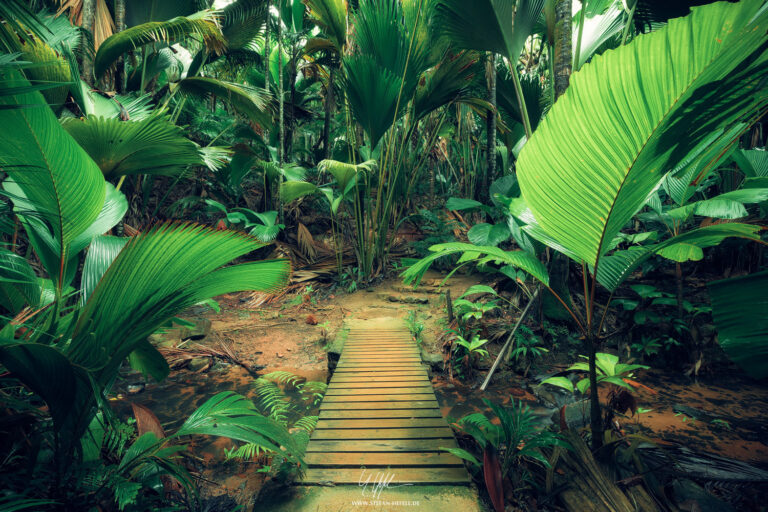 Landscapes Seychelles - Landscape Photography