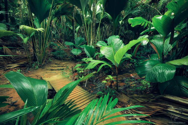 Landschaftsbilder Seychellen - Landschaftsfotografie