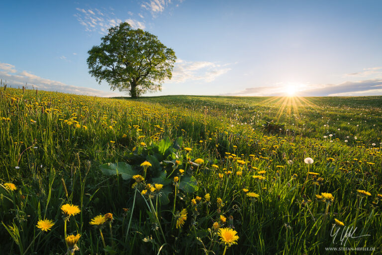 Landscapes from home Stefan Hefeles - Landscape Photography