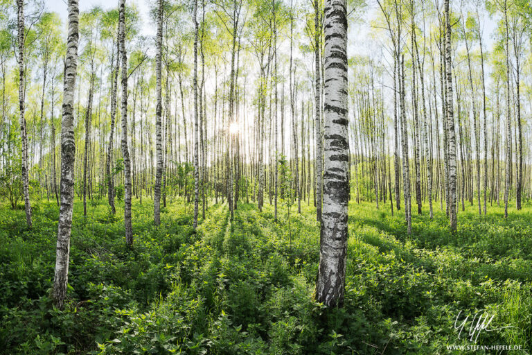 Landschaftsbilder aus der Heimat Stefan Hefeles - Landscape Photography