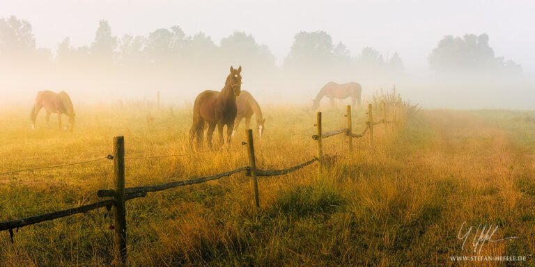 Landschaftsbilder aus der Heimat Stefan Hefeles - Landscape Photography