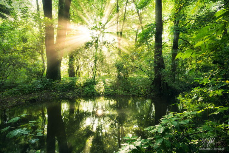 Landschaftsbilder aus der Heimat Stefan Hefeles - Landscape Photography