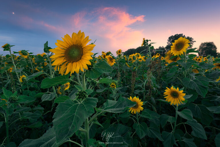 Landschaftsbilder aus der Heimat Stefan Hefeles - Landscape Photography