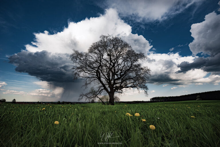 Landscapes from home Stefan Hefeles - Landscape Photography