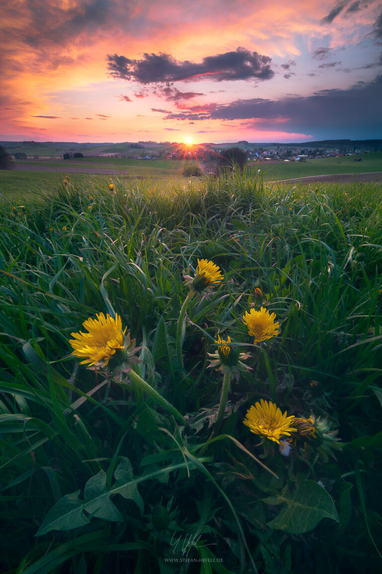 Landschaftsbilder aus der Heimat Stefan Hefeles - Landscape Photography