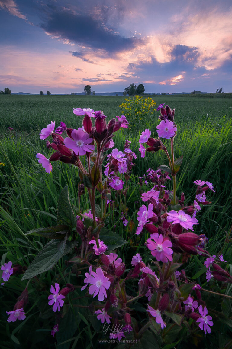 Landschaftsbilder aus der Heimat Stefan Hefeles - Landscape Photography