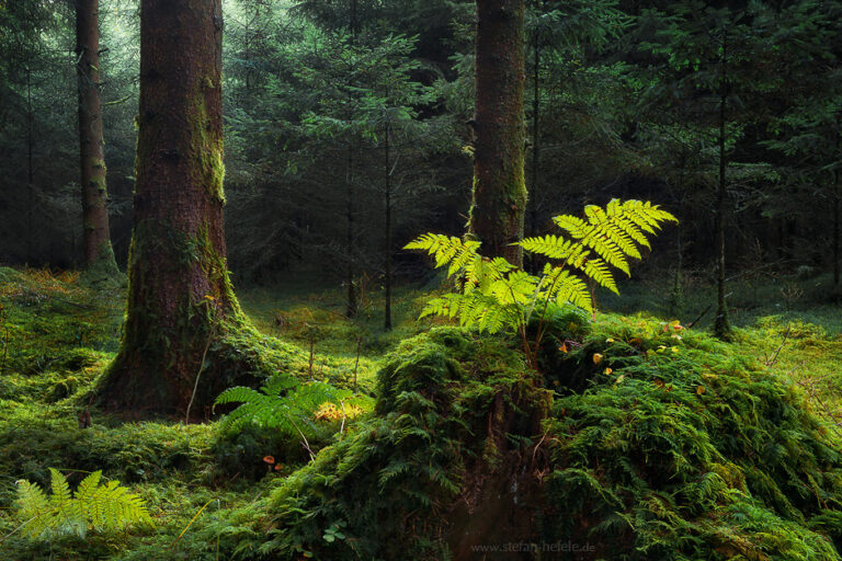 Landschaftsbilder Deutschland - Landschaftsfotografie