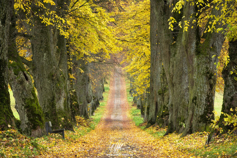 Landschaftsbilder Deutschland - Landschaftsfotografie