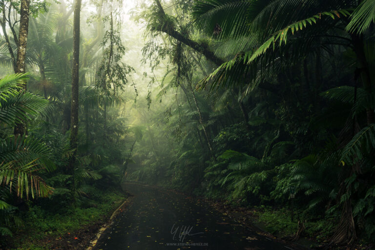 Landscapes Caribbean - Islands - Landscape Photography