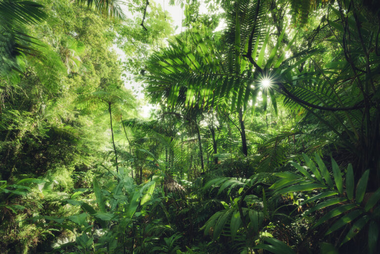 Landscapes Caribbean - Islands - Landscape Photography