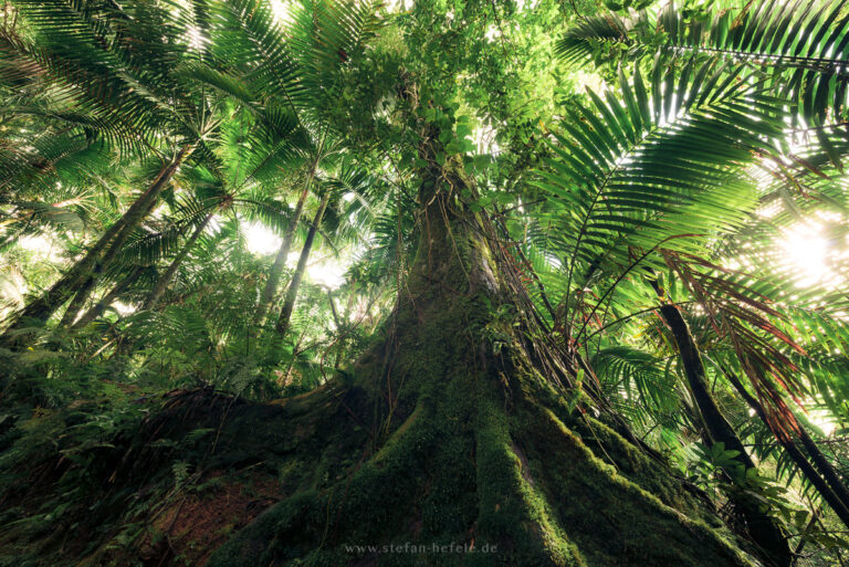 Landscapes Caribbean - Islands - Landscape Photography