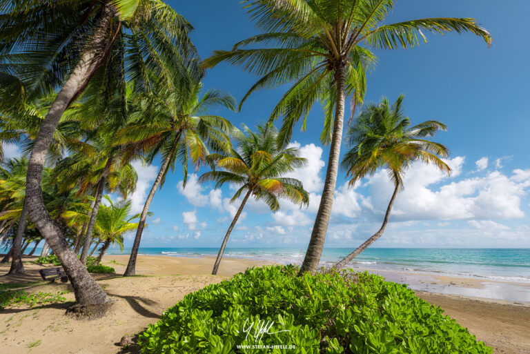 Landscapes Caribbean - Islands - Landscape Photography