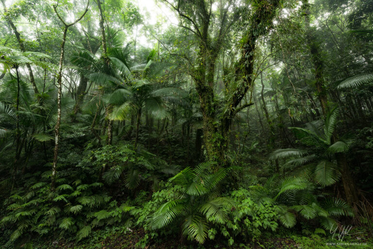 Landscapes Caribbean - Islands - Landscape Photography